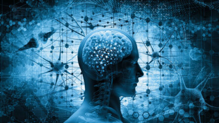 ¿CEREBRO Y MENTE HOLOGRÁFICOS?